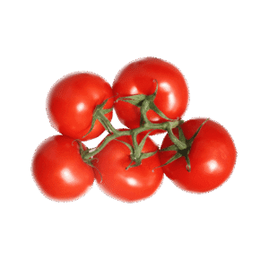 Donsectetur adipiscin